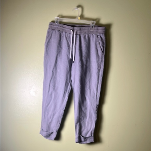 ATHLETA Gray Jogger Pants - Picture 1 of 9